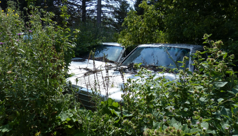 Illustration for article titled A Michigan Town Is Forcing This Man To Sell 20 Old Cars Off His Property Every Month